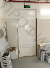 Дверь маятниковая однопольная